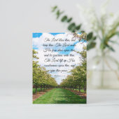 6:24-26はがき ポストカード (スタンド正面)