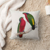 #6-Kuhlのインコ クッション (ブランケット)