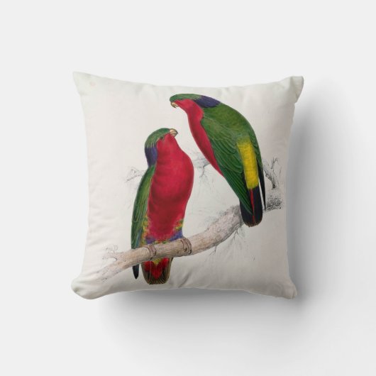 #6-Kuhlのインコ クッション (正面)