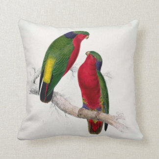 #6-Kuhlのインコ クッション