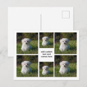 6 Photo Collage – ホワイトグリッドの美ミニマル, ポストカード (正面/裏面)