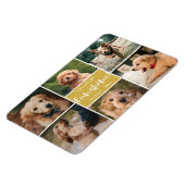 6 Photo Collage You Are My Funshine | Gold Pet マグネット (左側)