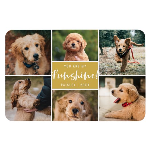 6 Photo Collage You Are My Funshine | Gold Pet マグネット (横)