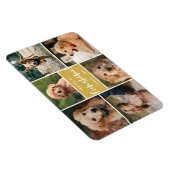 6 Photo Collage You Are My Funshine | Gold Pet マグネット (右側)