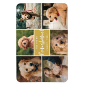 6 Photo Collage You Are My Funshine | Gold Pet マグネット (縦)