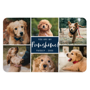 6 Photo Collage You Are My Funshine   Navy Pet マグネット