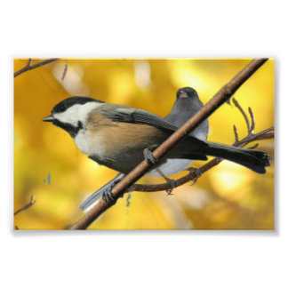 6" x 4インチ、コダックプロフェッショナルフォト紙(Satin) フォトプリント