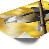 6" x 4インチ、コダックプロフェッショナルフォト紙(Satin) フォトプリント (角)