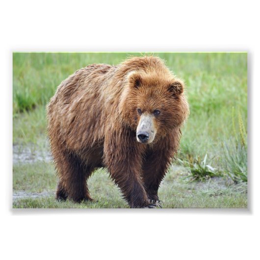 6" x 4インチ、コダックプロフェッショナルフォト紙(Satin) フォトプリント (正面)