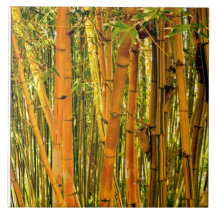 6 x 6タケ陶磁器の芸術のタイル