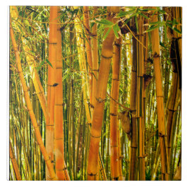 6 x 6タケ陶磁器の芸術のタイル タイル