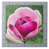 6"x 6"セラミックタイルとゴージャスなマゼンタマグノリア タイル (正面)