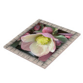 6"x 6"セラミックタイル、ラブリーピンクヘレボア タイル (側面)