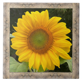 6"x 6"明るい黄色のひまわり付きセラミックタイル タイル