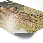 6x4の写真 フォトプリント            (角)