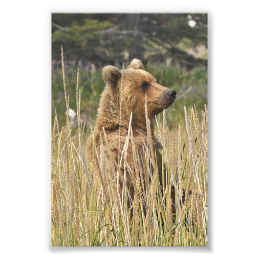 6x4の写真 フォトプリント            (正面)