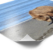 6x4サテン白いクマの赤ちゃんの写真 フォトプリント            (角)