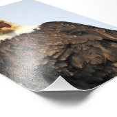 6x4フォトイーグル フォトプリント            (角)