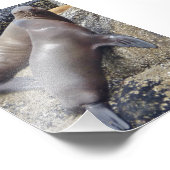 6x4フォトシール フォトプリント            (角)