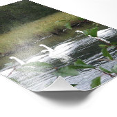 6x4フォトスワン フォトプリント            (角)