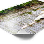 6x4フォトスワン フォトプリント            (角)