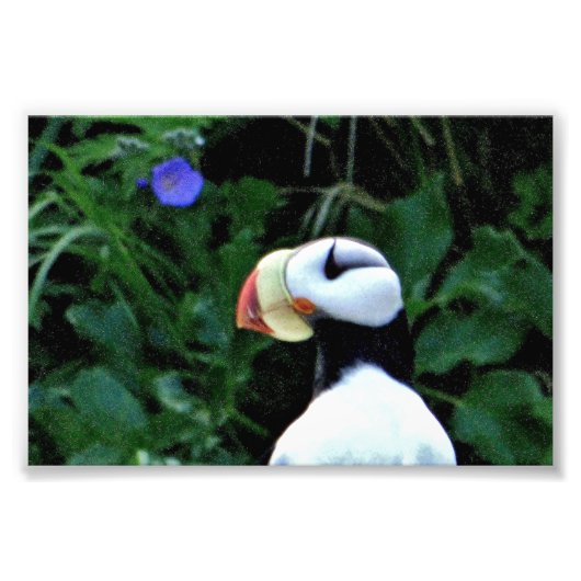6x4フォトパフィン フォトプリント            (正面)