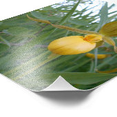 6x4フォトプリント フォトプリント            (角)