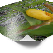 6x4フォトプリント フォトプリント            (角)