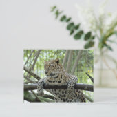 6x4ポストカードテンプレート ポストカード (スタンド正面)