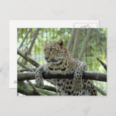 6x4ポストカードテンプレート ポストカード (正面/裏面)