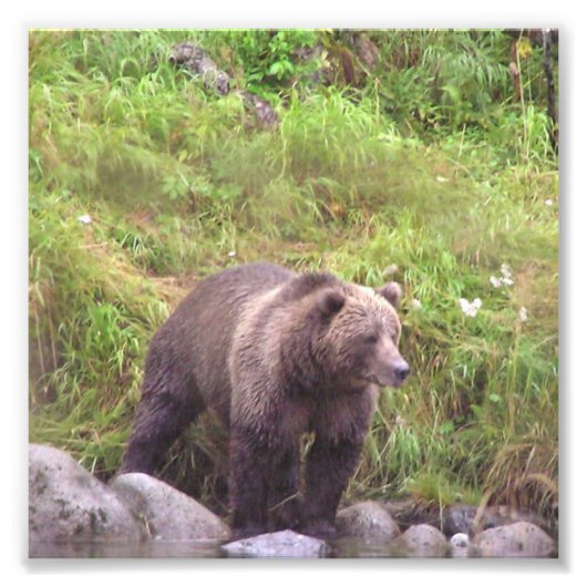 6x6コダックプロフェッショナルフォト紙（サテン） フォトプリント            (正面)