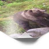 6x6コダックプロフェッショナルフォト紙（サテン） フォトプリント            (角)