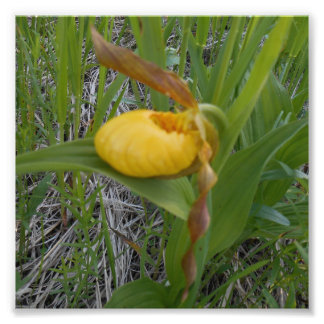 6x6フォトプリント フォトプリント