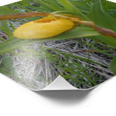 6x6フォトプリント フォトプリント            (角)