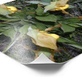 6x6フォトプリント フォトプリント            (角)