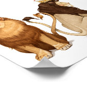 6x6ライオンズインラブプリント ポスター (角)