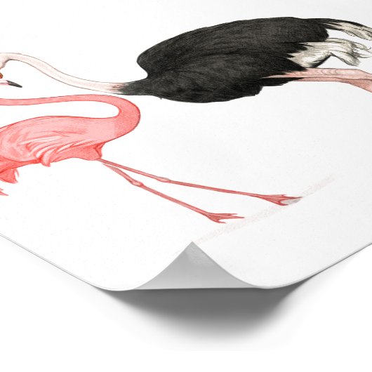 6x6 Love Birds Print ポスター (角)