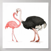 6x6 Love Birds Print ポスター (正面)