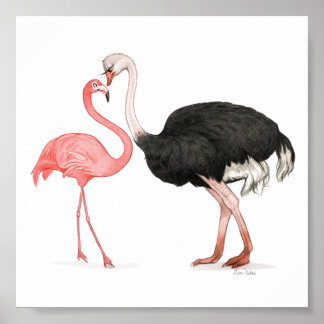 6x6 Love Birds Print ポスター