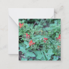 7すてき月 ノートカード