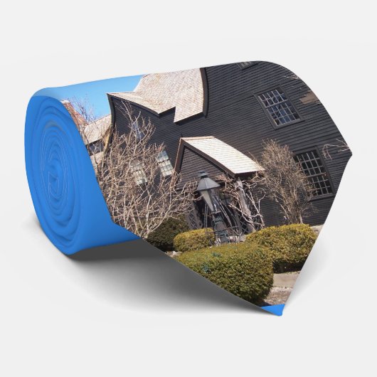 7つの切り妻のタイのHawthorneの家 ネクタイ (ロール)