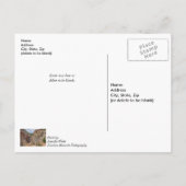 7つの滝考えるズコロラドズオブユーハガキ ポストカード (裏面)