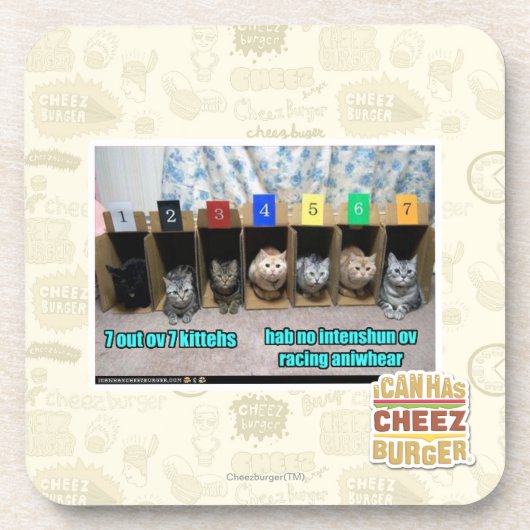 7つのov 7のkittehs コースター (正面)