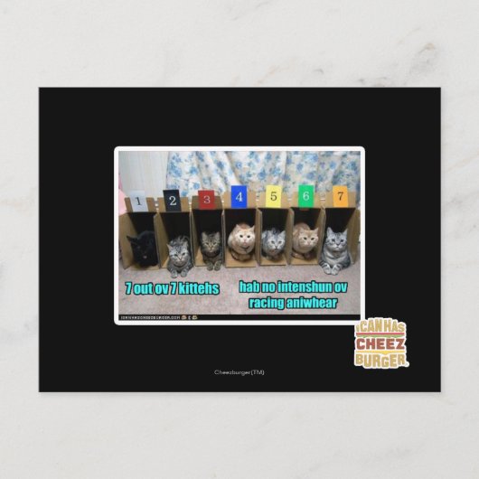 7アウトov 7キットー ポストカード (正面)