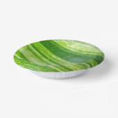 7インチのナチュラルリーフデザイン（濃緑と薄緑） ペーパーボウル (傾斜あり)