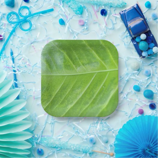 7インチスクエア紙プレートとエンチャントグリーン ペーパープレート (パーティー)