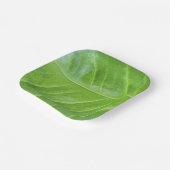 7インチスクエア紙プレートとエンチャントグリーン ペーパープレート (傾斜あり)