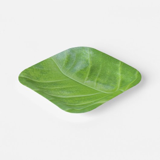 7インチスクエア紙プレートとエンチャントグリーン ペーパープレート (傾斜あり)