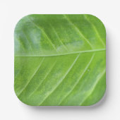 7インチスクエア紙プレートとエンチャントグリーン ペーパープレート (正面)