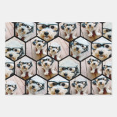 7フォトコラージュ – 六角パタファンキーーン ラッピングペーパーシート (正面2)